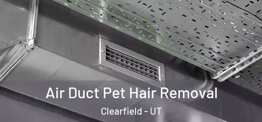 Air Duct Pet Hair Removal Clearfield - UT