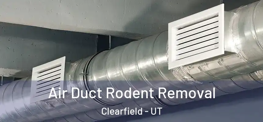 Air Duct Rodent Removal Clearfield - UT