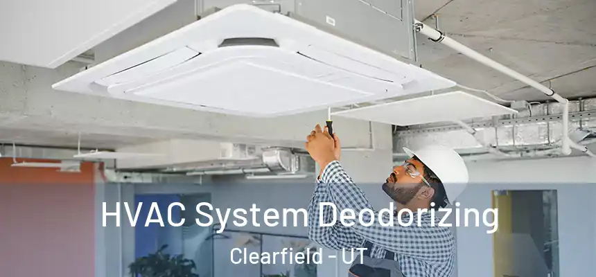  HVAC System Deodorizing Clearfield - UT