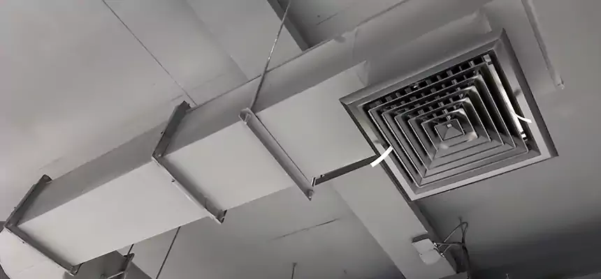 Our Pest Removal From Ducts Services in Clearfield, UT