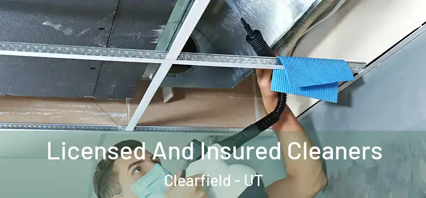 Licensed And Insured Cleaners Clearfield - UT