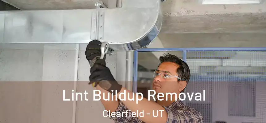  Lint Buildup Removal Clearfield - UT
