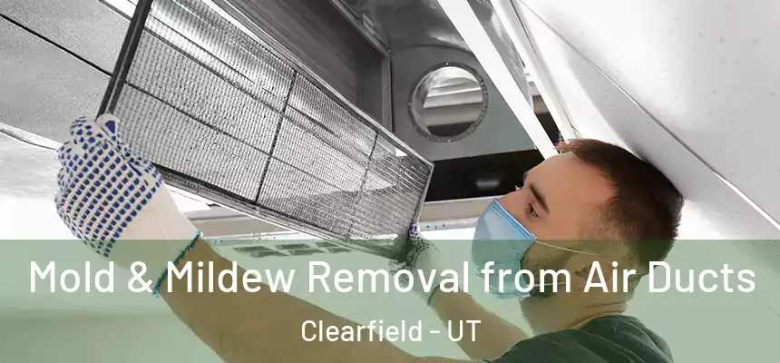  Mold & Mildew Removal from Air Ducts Clearfield - UT