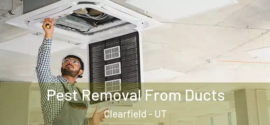  Pest Removal From Ducts Clearfield - UT