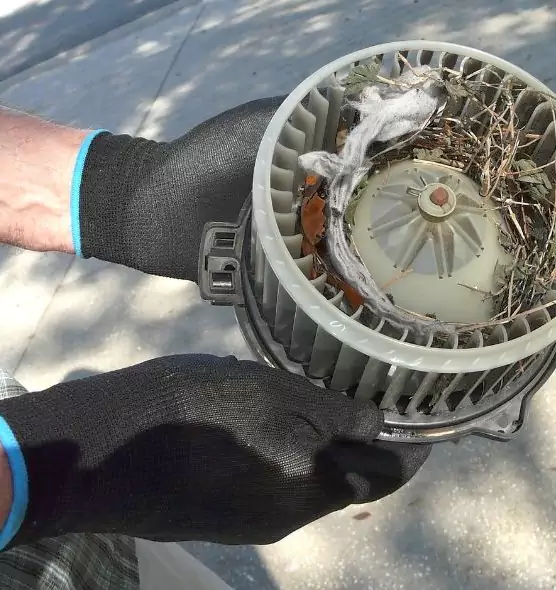 About Air Duct Mice Removal in Clearfield, UT