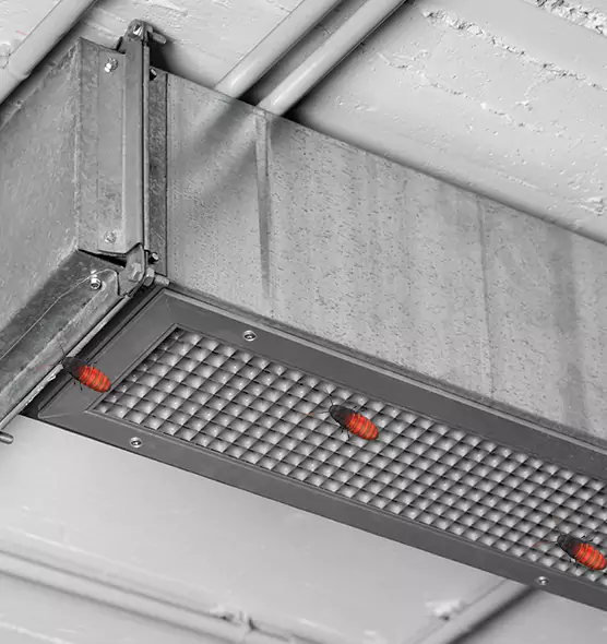 Affordable Insect Removal from Air Ducts in Clearfield, UT