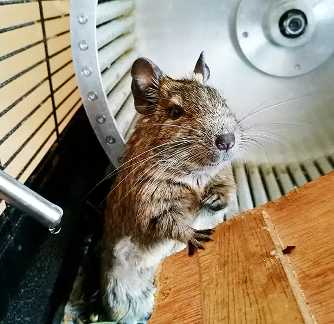 Why Homeowners & Businesses Trust Us Clearfield, UT